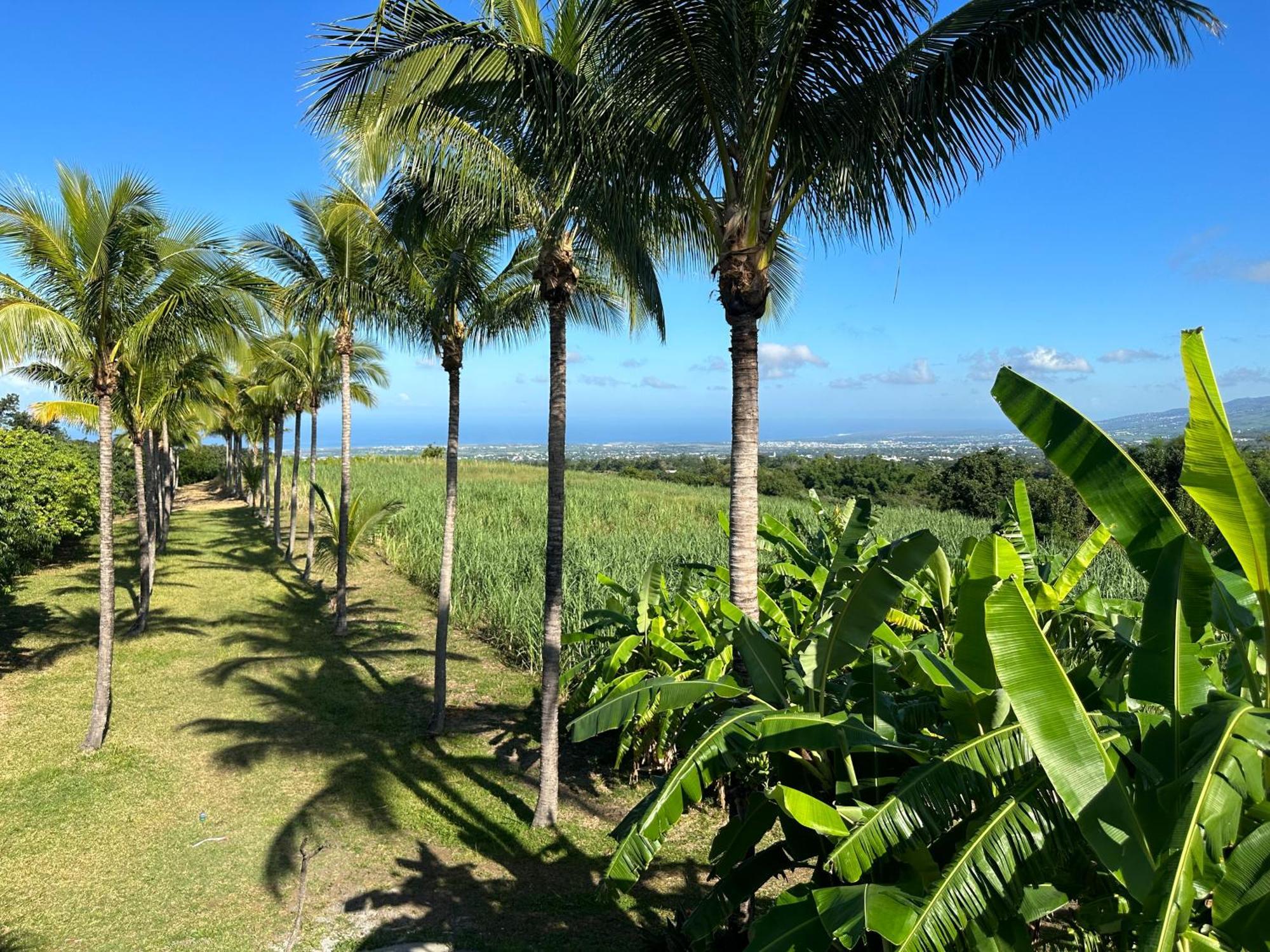 Bed and Breakfast Zoiseaux Pays Saint Pierre Esterno foto