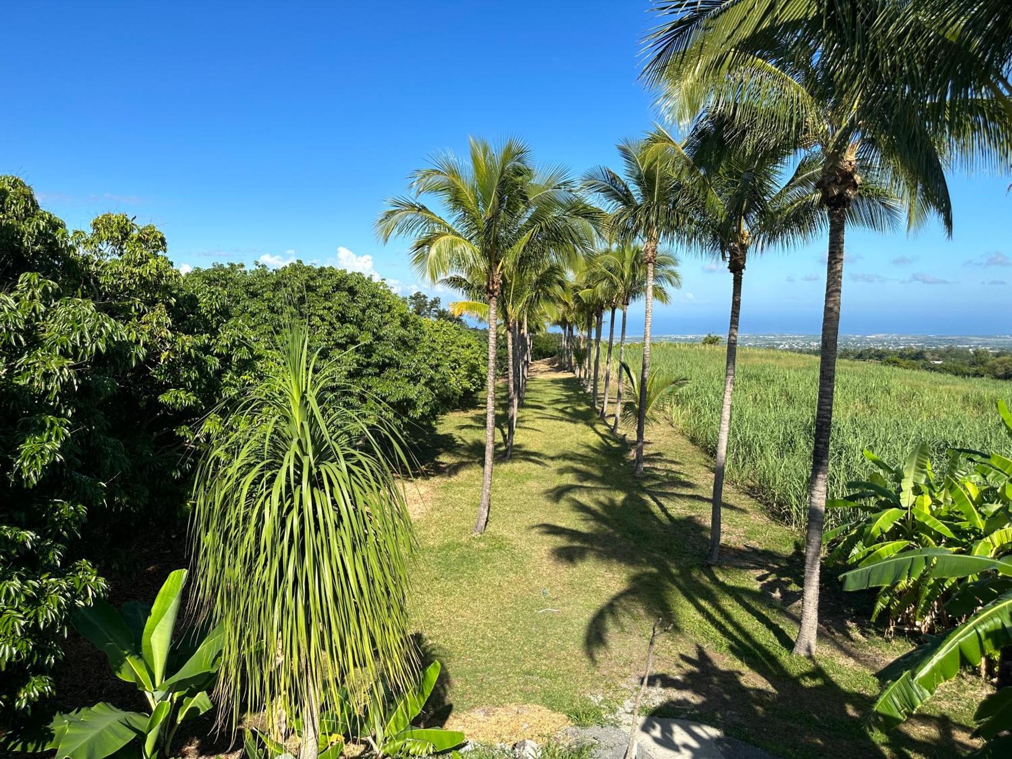 Bed and Breakfast Zoiseaux Pays Saint Pierre Esterno foto