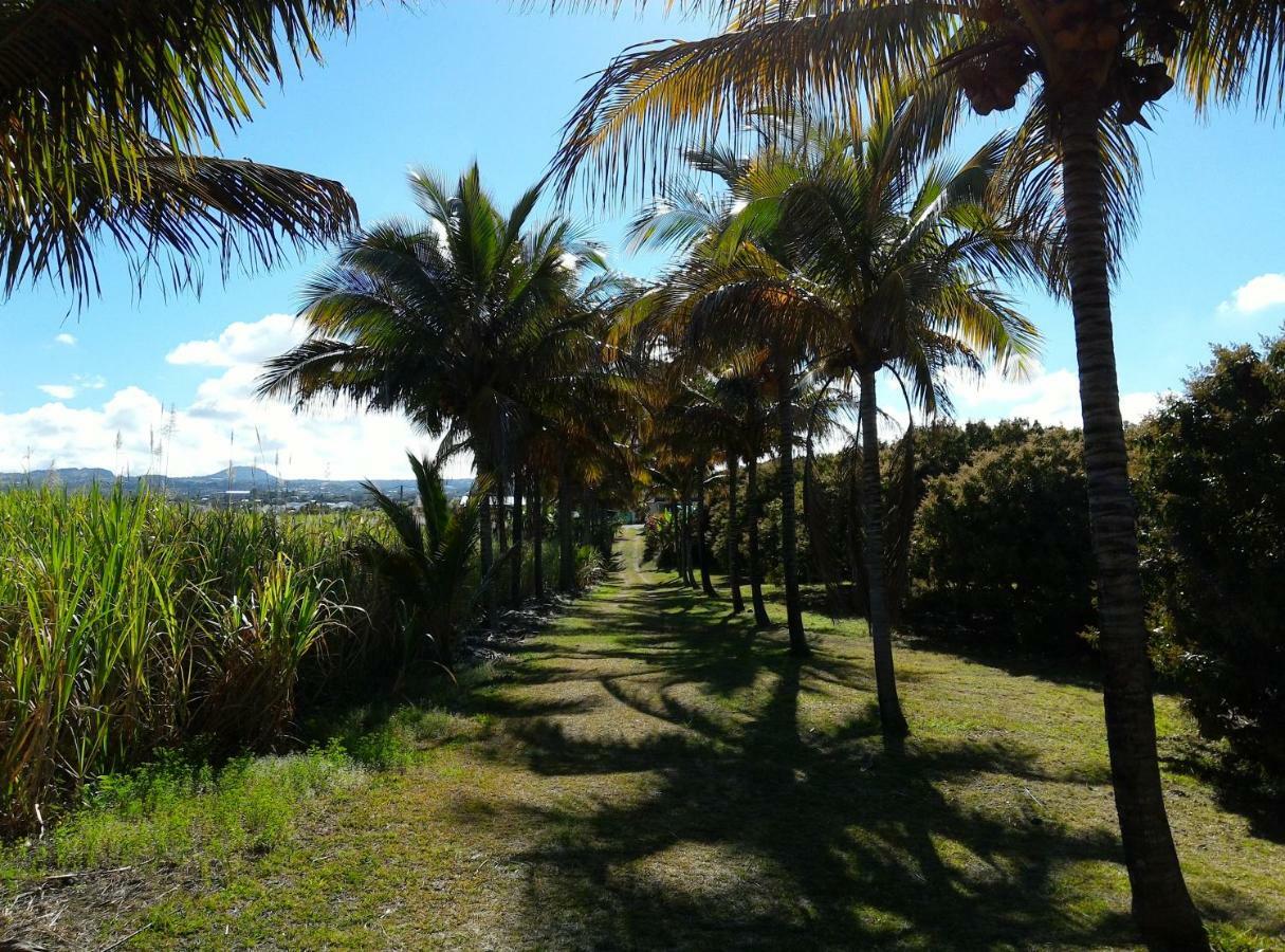 Bed and Breakfast Zoiseaux Pays Saint Pierre Esterno foto